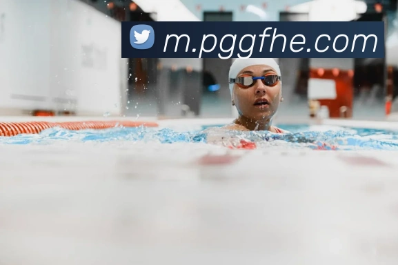 pg模拟器全站App